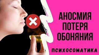 Что такое аносмия потеря обоняния? Психосоматические конфликты аносмии.