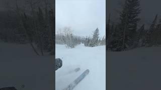 that guy gets it  #skiing #skivideo #powderski #skiutah #brighton #snow