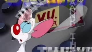 Pinky and the Brain - Intro Swedish