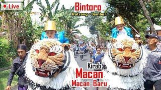 KIRAB CAN MACANAN BARU MAONG REMAJA DI BINTORO JEMBER  LION DANCE