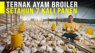 Rela Tidur Dikandang Ayam Untuk Hasilkan Ayam Broiler Berkualitas