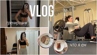 23. худеющий vlog  считаю калории  что я ем  мои тренировки