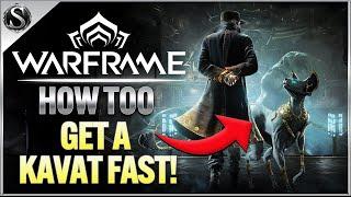 Warframe - How To Get A Smeeta Kavat FAST