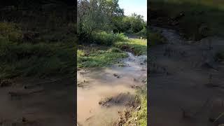 Sound of Gushing Water - Margalla Hills National Park