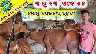 ଲକ୍ଷ୍ୟ ୫୦୦ ଲିଟର କ୍ଷୀର ଉତ୍ପାଦନ  Target 500 liters milk in a day  Dairy farming in Odisha 