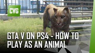 GTA V on PS4 - How to play as an animal. Mountain lion Pigeon coyote Seagull Crow and more