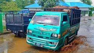 PICK UP L300 MODIFIKASI MINI TRUCK  MUATAN SAPI TERNAK BALAP  MBOIS ABIS