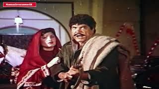 SULTAN RAHI IN ACTION  ZABARDAST ACTING FT. SAIMA & IZHAR QAZI