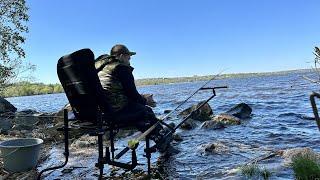 Ловля плотвы на реке Днепр. Рыбалка на фидер в начале мая.