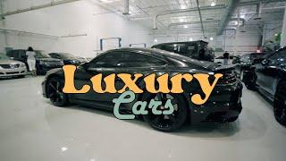 You have to see this AMAZING luxury car collection