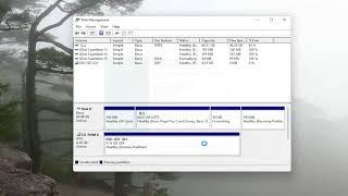 External Hard Drive Not Showing up or Detected in Windows 1110