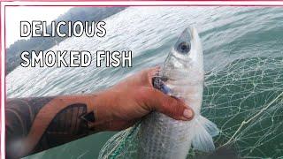 Netting Big Grey Mullet for the Smoker