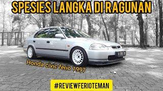 Spesies Langka di Ragunan Modifikasi Honda Civic Ferio 1997