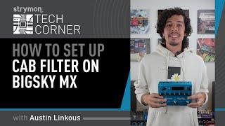 Strymon Tech Corner How To Use BigSky MXs Cab Filter