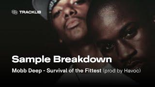 Sample Breakdown Mobb Deep - Survival of the Fittest