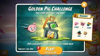 Angry Birds 2 Golden Pig Challenge Room 8 with Bird Stella