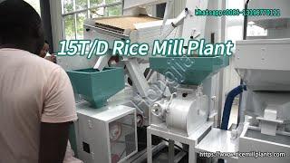 15TD Mini Rice Mill Plant  Mini Rice Machine Machine Price #ricemillsupplier #ricemillequipment