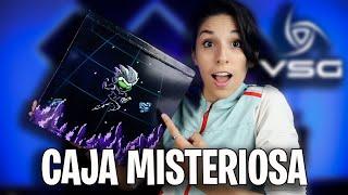 ABRO la CAJA MISTERIOSA de VSG   Super Unboxing