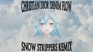 Christian Dior Denim Flow Snow Strippers Remix