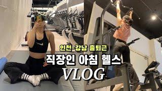 헬스 초보 1시간 운동 루틴 vlog 목디스크 거북목 직장인 이대로만 하세요