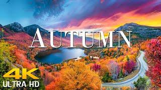 4K Autumn Scenic Relaxation Film With Calming Music + Relaxing Scenic Music  Scenic Film Nature