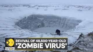 WION Climate Tracker Scientists revive 48500-year-old ‘zombie virus’ buried in ice  English News
