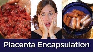 Placenta Encapsulation from Start to Finish GRAPHIC