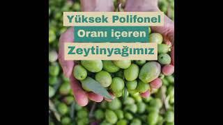 Forte Gourmet I Bugüne Özel %50 İndirimli Zeytinyağı