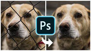 Remove Fence with 3 Simple Steps in Photoshop Super easy -Adobe Photoshop CC 2022 Tutorial