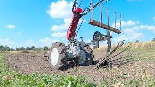 A SUPER WAY to dig potatoes