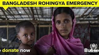 Help Rohingya Refugees