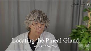 Locating the Pineal Gland Learn Integral Anatomy with Gil Hedley