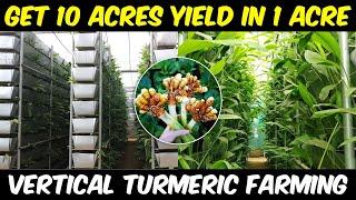 Vertical TURMERIC FARMING  Get 10 Acres yield in 1 Acre Land  Soil based Vertical Farming