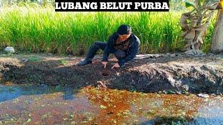 Ngabuburit Mancing Belut Babon Dipinggir Sawah Hasilnya Menggiurkan