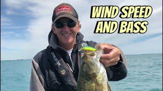 How Wind Speed Affects Bass Fishing Strategies And Techniques