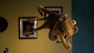 Octopus Playtime  Octopus In My House  BBC Earth