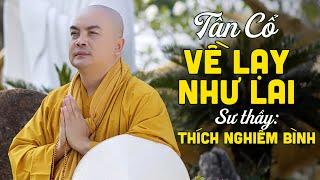 Tân Cổ Phật Giáo Về Lạy Như Lai - Thích Nghiêm Bình  MV MỚI NHẤT