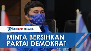 Para Kader Minta Partai Demokrat Dibersihkan Tak Rela Para Pengkhianat Masih Satu Atap