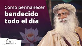 Que todo tu día sea una bendición  Sadhguru Español voz doblada con IA #sadhguruespanol #shorts