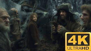 Mirkwood  The Hobbit - The Desolation of Smaug 4K HDR