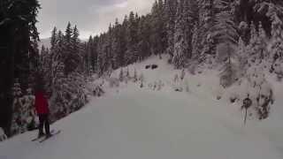 Bad Hofgastein Piste H7  Bergstation Schloßhochalmlift über über H31 Kasereben bis Angertal