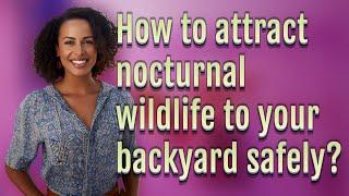 How to attract nocturnal wildlife to your backyard safely?