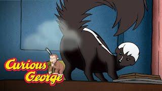 Skunked  Curious George Kids Cartoon  Kids Movies Videos for Kids