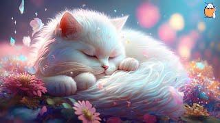 Relax Your Cat - 3 HOURS of Soothing Music for Cats  Cat Purring Sounds  Sleepy Cat