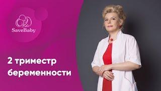 2 триместр беременности. Елена Никологорская. Акушер-гинеколог. СПб