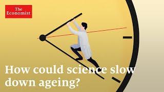 Longevity can ageing be reversed?