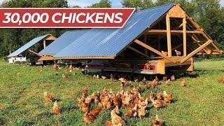 LIVE Tour Joes Farm Pastured Poultry