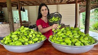 Quem gosta de jiló? cumprindo desafio de um seguidor