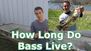 How Long Do Bass Live? How Fast Do They Grow?