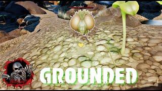 GROUNDED Ep19  How to Turn on Handy Gnat and Tame one